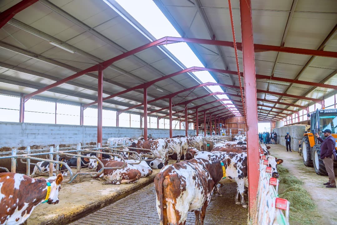 Agriculture and farming project in Osun State 1