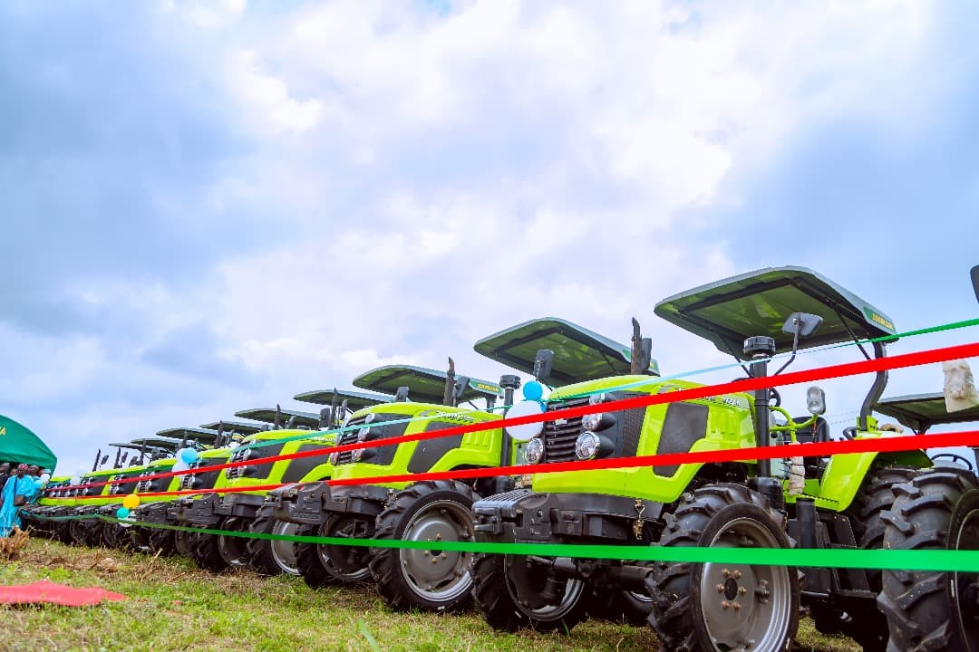 Agriculture and farming project in Osun State 6